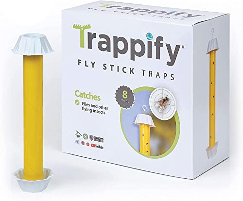 Trappify Hanging Fly Traps Outdoor: Fruit Fly Traps for Indoors | Fly Catcher, Gnat, Mosquito, & Flying Insect Catchers for Inside Home - Disposable Sticky Fly Trap for Indoor House Pest Control