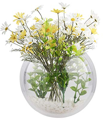 æ— 2 x hängende Fischschalen zur Wandmontage, Betta-Tank-Aquarium, Wanddekoration, Pflanze, Fischblase, Wandbehang, Aquarium, transparent