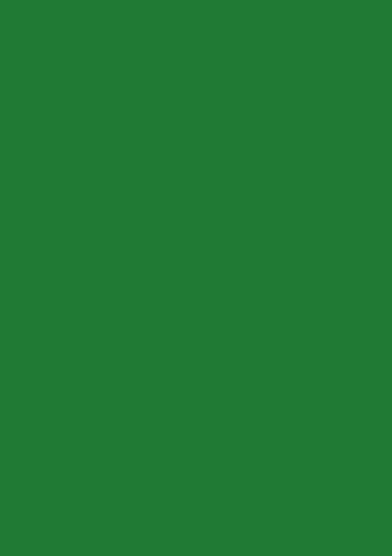 BRUNNEN Multifunktionspapier Universalpapier | A4, 160 g/m², dunkelgrün, 25 Blatt