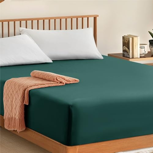 My home store Fitted Sheet 100% Egyptian Cotton 300TC Hotel Quantity 30 cm Fitted Bedsheets (Emerald, King)