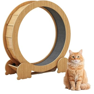 Rueda De Ejercicio para Gatos, Rueda Interactiva para Gatos, Rueda De Gran Diámetro, Cinta De Correr para Gatos para Ejercicio Y Pérdida De Peso(Small)
