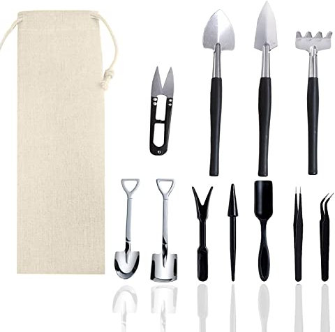 Wobodan 12 Pcs Succulent Tools Set Mini Transplanting Garden Tools Kit for Indoor Gardening Flower Pot Cactus Care
