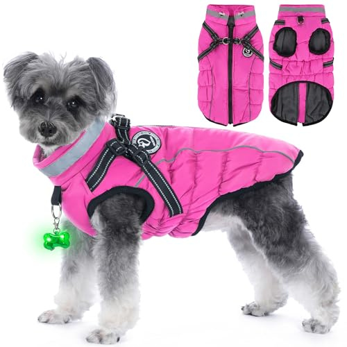 HezzLuv Manteau D’Hiver Imperméable pour Chien avec Harnais, Bandes Réfléchissantes & Collier LED, Doublé Polaire/Coton, Coupe-Vent, Réglable, pour Petits & Moyens Chiens(Rose, L)