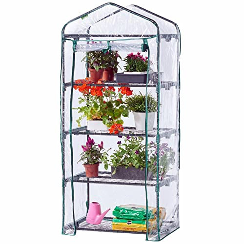 Faboer 4 Tier Walk In Greenhouse – Compact Green House with Shelves and Weatherproof PVC Plastic Cover Plant House/Grow for Garden Outdoor Roll up Zip Panel Door Easy No Tool Assembly, Black (GH3)