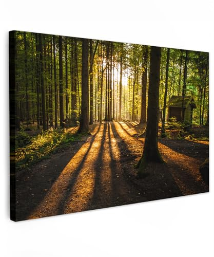MuchoWow© Leinwand Groß 120x80 cm XXL Deko Schlafzimmer Aesthetic Leinwandbilder Wohnzimmer Gemälde Foto Geschenk Living Room Decoration Wandbilder Bild Wald - Sonne - Bäume - Landschaft - Natur