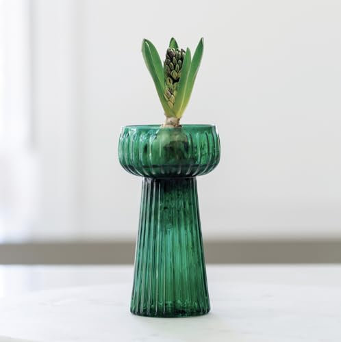 Green Ribbed Texture Hyacinth Flower Bulb Glass Vase, Spring Bulb Vase Propagator Planter, Tall Green Glass Bud Flower Vase, Hyacinth Vase, Green Vase, Coloured Glass Vase, Stem Vase, Bud Vase
