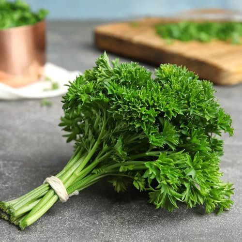 600 Pcs Petersilie Samen Mehrjährig Winterhart - Seltene Pflanzen, Gemüse Samen Petersiliensamen Kräuter Samen Mehrjährig, Gemüse Frisch Kräutergarten Geschenk, Küchenkräuter Balkon