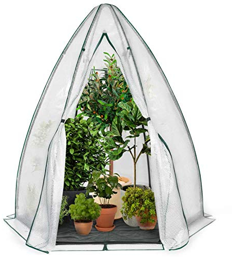 IDMarket - Serre d'hivernage dôme 160 x 160 x 180 cm Balcon et terrasse