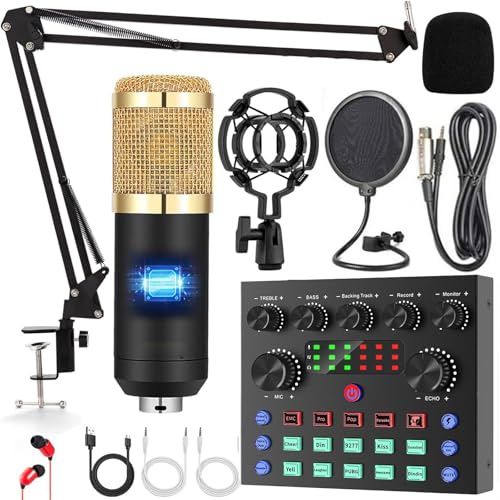 WuDLi Ensemble d'équipement de Podcast d'interface Audio, Table de mixage DJ Tout-en-Un, Support Anti-Choc en métal et Filtre Double Couche, Applicable à l'enregistrement et à la Diffusion en Studio