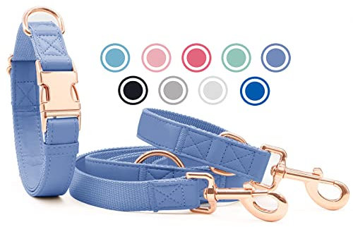 Weich Leder Hundehalsband und Leine (2m) Set - 3-Fach Verstellbar Hundeleine mit Halsband, Stilvollen Rose Gold Metall Schnalle & Nylon Hund Leinen für Welpen Kleine Mittlere Große Hunde Violett,M