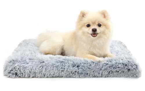 MDDK DY Small Dog Bed Mat - Washable Removable Cover Non-Slip Bottom, Egg Crate Orthopedic Dog Mat with Plush Padding, Soft Cushion for Small Pet Beds,Grey,50x40x5cm