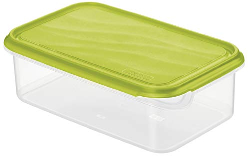 Rotho Rondo Boîte pour aliments frais 1,5 l avec couvercle, Plastique (PP) sans BPA, transparent/vert, 1.5l (24.0 x 16.0 x 7.5 cm)