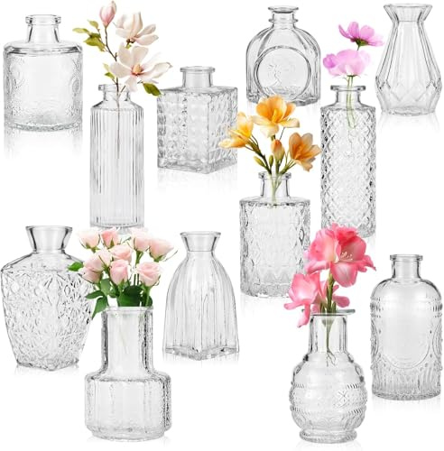 Set di mini vasi, 12 pezzi, piccoli vasi in vetro, decorazione vintage, diverse misure, vaso per fiori, piccoli vasi in vetro per centrotavola, decorazioni per matrimoni, trasparenti