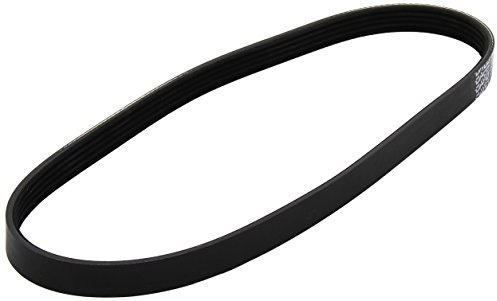 Dayco 5PK810 Correa Trapecial Poli V