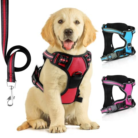 Harnais pour Chien sans Traction avec Laisse,Parfaitement Respirant Ajustable Harnais Avant réfléchissant,idéal pour Les Petits Chiens de Taille Moyenne, entraînement en Plein air (Rouge Foncé, M)