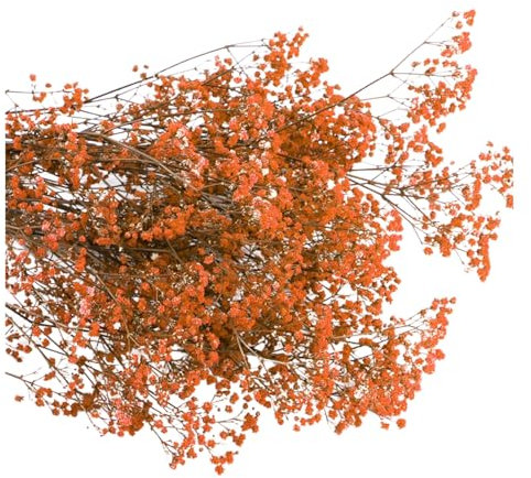 Haloppe Centre de Table Gypsophile Fleurs séchées Longue durée Bouquet d'Aeonium Couleur vive Ne se décolore Pas Entretien Facile Décoration Naturelle de la Saint-Valentin Orange