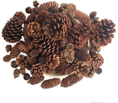Senlwod 50PCS Natural Pine Cones Pinecones for Crafts Pinecone Ornaments for Christmas Tree,Wreath Making,DIY Crafts,Vase or Table Bowl Fillers, Winter Holiday Decor