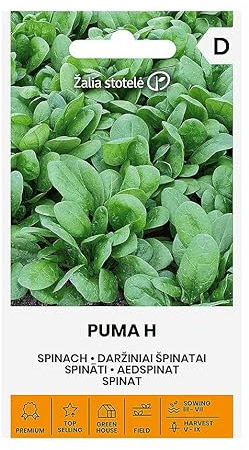 Zalia stotele | ÉPINARD - PUMA H Graines | Graines de Légumes | Épinard Graines | Graines de Plantes | Graines de Jardin | 1 Paquet