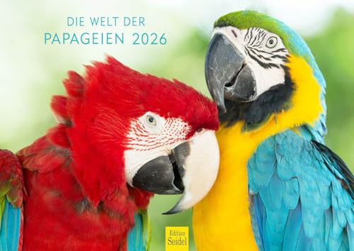 Edition Seidel Calendario Premium El mundo de los loros 2026, formato DIN A4, calendario de pared, calendario de animales, loro, cacatúa, pájaros, animales, naturaleza