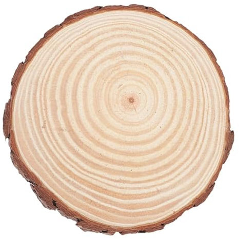 Paso De Piedra 2 piedras de paso for jardín, piedras for exteriores, pasarela, piedra for patio y adoquines, rebanada de madera for jardín, decoración campestre, rústica for exteriores Para DecoracióN