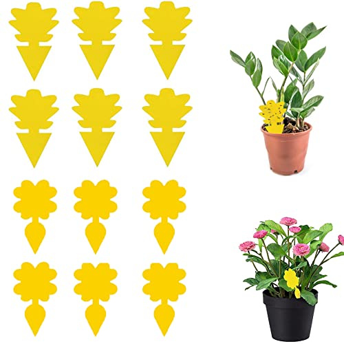 20 Pcs Dubbelsidiga Flugklistermärken, Insektsfällor, Klibbiga Engångstavlor, Insektsfällor, Getingfällor, Vägglössfällor för Alla Typer av Insekter Och Myggor, Växtträdgård Inomhus