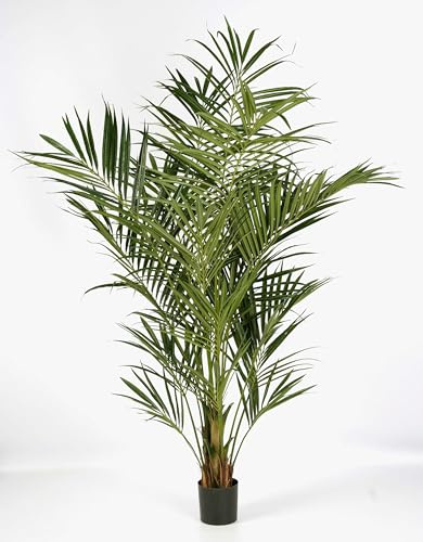 artplants.de Konstgjord Kentia-palm Natural, 192 blad, 200 cm