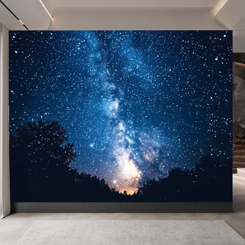 carta da parati camera da letto 250x420cm Cielo Notturno Blu Profondo carta da parati tessuto non tessuto Decorazione 3D su tela pittorica, senza interruzioni, per la parete principale della casa