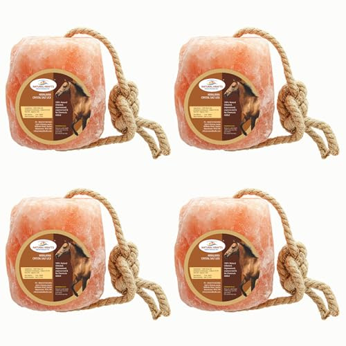 Salt Lick on Rope For Horse and Other Livestock Mineral Treat Equine Supplement Pack of 4 Blocks 2.5 Kg each From Punjab Pakistan