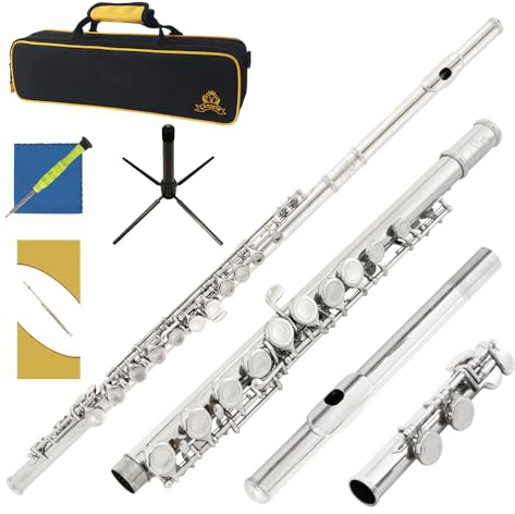 Yasisid Closed Hole C Flute 16 Keys Instrument for Student Beginners with Cleaning Kit, Stand, Carrying Case, Gloves and Tuning Rod