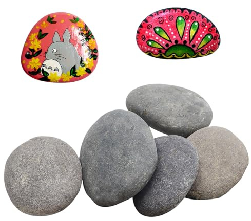 CATELL 5 PCS Piedras para Pintar de Roca, 8-12 cm Pintar Rocas Piedras Piedras Planas para Pintar con Superficie Lisa y Plana Piedras Pintadas para Manualidades Pintar Acuarios Decoración de Jardín