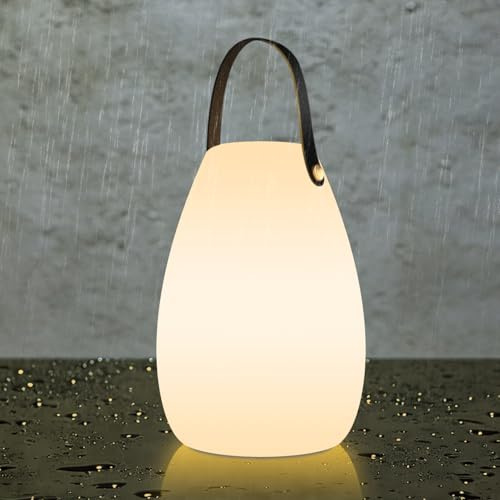 FUYO Portable Outdoor Table Lamp, Dimmable Rechargeable Night Lights Remote and RGB Colors, IP44 Water-Resistant Hanging Camping Lantern for Patio Tent Bedroom Garden (Large-Black Handle-1 Pack)