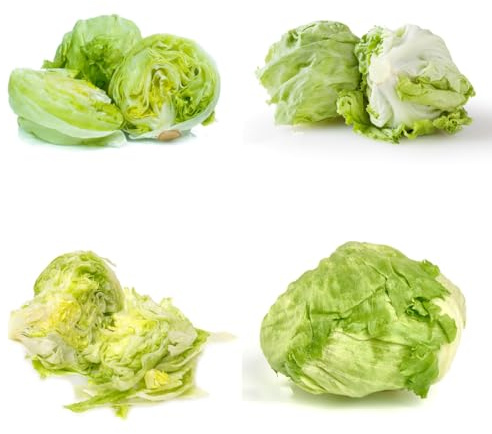 semi di lattuga iceberg, giardino resistenti perenni di lattuga di antichi, 100pcs