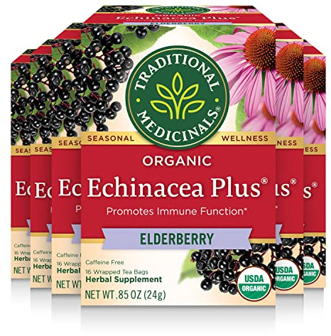 Traditional Medicinals Organic Echinacea Plus Elderberry Tea, 16 Tea Bags (Pack of 6)