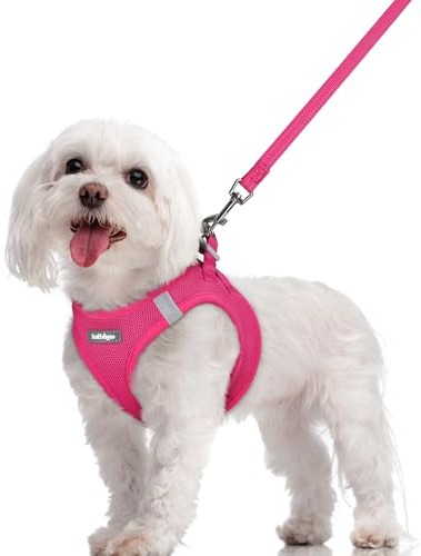 rabbitgoo Dog Harness Medium Sized and Leash Set, Step-in Puppy Pet Vest