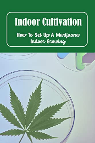 Indoor Cultivation: How To Set Up A Marijuana Indoor Growing