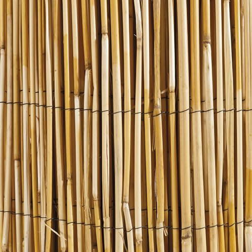 Windhager 06523 Canisse Roseau Naturel Beige 1 x 5 m