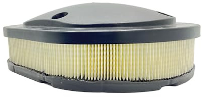 Indian Motorcycle Air Filter Specific - 5815068