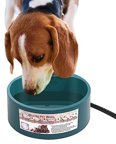 NAMSAN Beheizbare Trinkflasche für Hunde/Katze/Hasen/Hühner 2.2 L Frostschutz Wassernapf in Winter, Grün