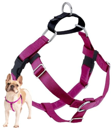 2 Hounds Design Freedom No Pull Dog Harness, Adjustable Harness, Easy Walking & Comfortable Control, Fits Small, Medium & Large Dogs, Solid Colors, Made in USA, 1 LG, Raspberry