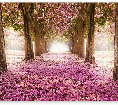 murando - Vlies Fototapete Weg 350x256cm Foto Tapete Schlafzimmer Wohnzimmer Vliestapete XXL Motivtapeten Bildtapete 3d Effekt Wand Dekoration - Blumen Bäume Park Allee rosa braun c-A-0031-a-b