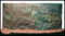 3D Aquarium Rückwand 50x30 Aquariumrückwand Dünn