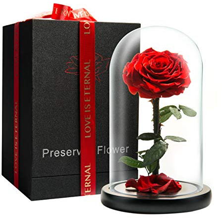 LOVAPPY Preserved Forever Rose in Glass Dome - Beauty and the Beast Romantic Gifts for Her - Eternal Rose Preserved Flowers - Preserved Rose Mother Gifts - Mum Birthday Gifts for women (red, 23 cm)