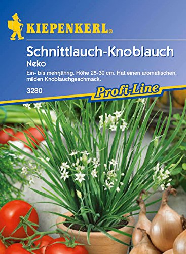 Schnittknoblauch, chinesisch - Allium tuberosum (100 Samen)
