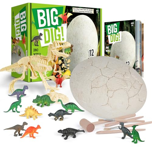 Dr. Daz Dino Uova Set di scavi per bambini, grandi uova Dino da scavare con 12 figure di dinosauro, set archeologico con strumenti, regalo per ragazzi dai 6 anni in su
