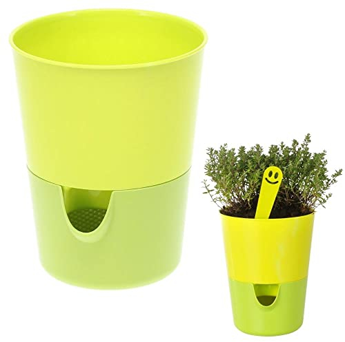 Plastia Kräutertopf mit Bewässerungssystem Kräutertopf Küche Selbstbewässerungstopf Indoor Kräutergarten Küche Fensterbank Blumentopf Selbstbewässernd Basilikum Topf Grün