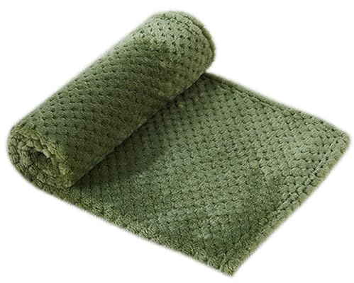 XIEMINLE 2-pack hundsängfiltar, mjuka husdjursfiltar husdjursöverdrag för säng soffa, tvättbar kattfilt katter hundmatta, mångsidigt hundöverkast för små medelstora hundar och katter (grön, 2 st, 100