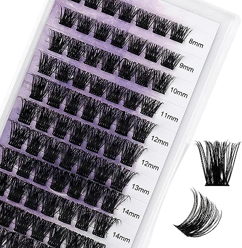 WENDY Pestañas Postizas Individual D Curl 0.07mm Mix 8-16mm Cluster Lashes 3D Effect Extensión de Pestañas Professional DIY(C3-D-816)