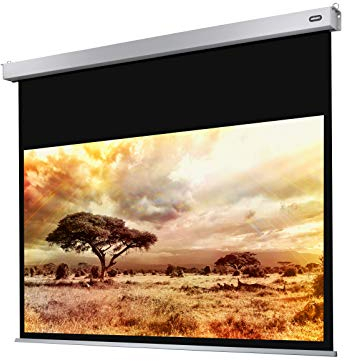 celexon Professional Plus Motor-Leinwand 135 | 300x169 cm 16:9 | elektrische 4K,Full-HD Präsentations-Leinwand für Ihren Heimkinobeamer | zur Decken-/ Wand-Montage | mit Fernbedienung