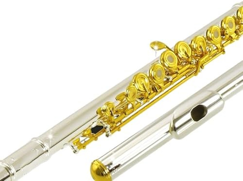 Flauto traverso flauto per principianti Boccaglio in argento per flauto bocchino in argento professionale per flauto a 17 fori per orchestra di grado speciale