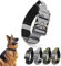 Ledeak Collare Tattico per Cani con Maniglia, Collare Regolabile per Cani Militare in Polipropilene con Fibbia in Metallo, Taglia Media Imbottito Morbida Tactical Dog Collar (Argento, M)